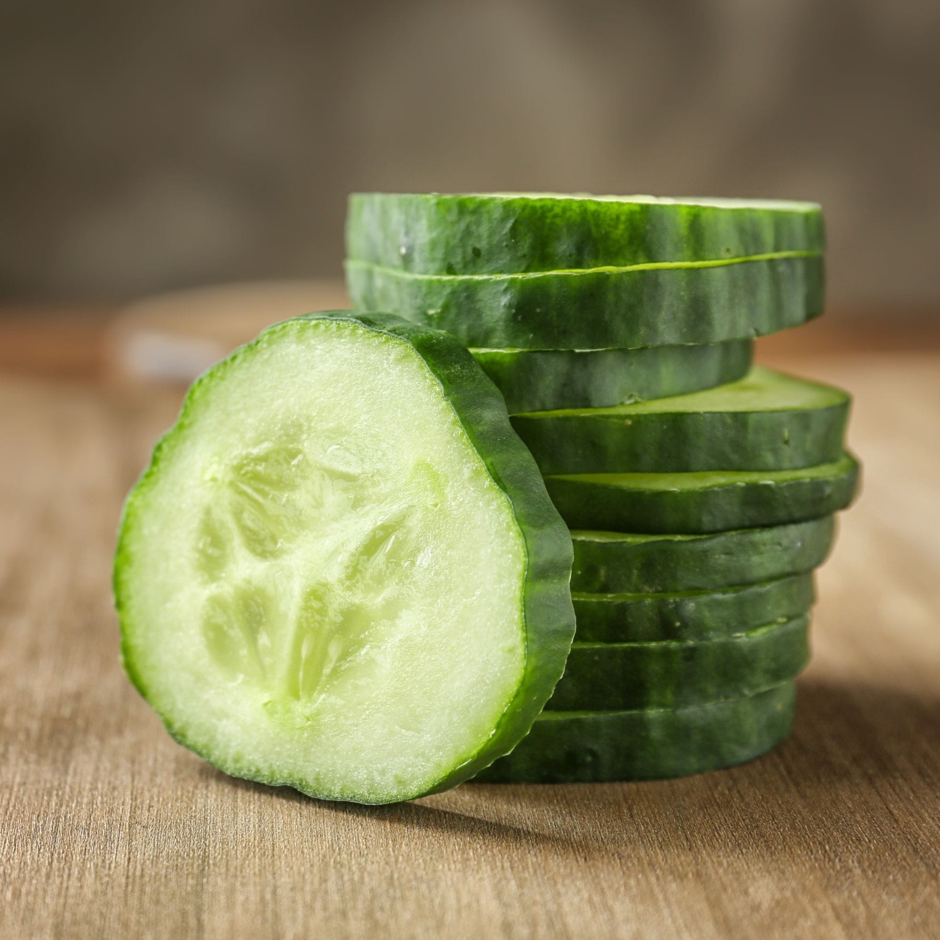 Cocumber Ridges 'Ridge Perfection' Cucumber Plants – Roots Plants