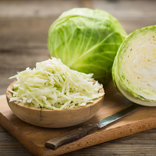 'Mastergreen' Spring Cabbage Plants Vegetables