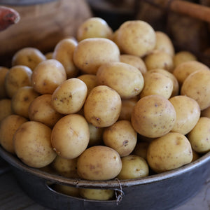 'Maris Peer' Second Early Patio Seed Potatoes Vegetables