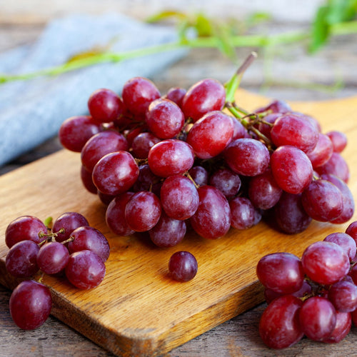 'Suffolk Red' Seedless Grape Vine Soft Fruit