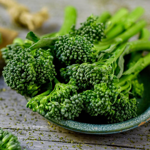 'Sweet Stem' Broccoli Plants Vegetables
