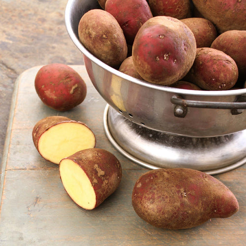 'Red Duke Of York' First Early Seed Potatoes Vegetables