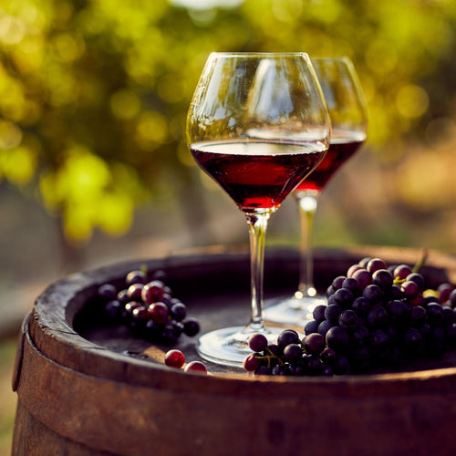 British Winemaking Grape Vines Collection Soft Fruit