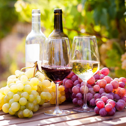 British Winemaking Grape Vines Collection Soft Fruit