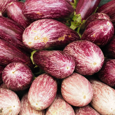 'Pinstripe' Aubergine Plants Vegetables