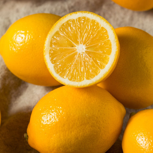 Meyer Lemon Tree | Citrus × limon Mediterranean Fruit Trees