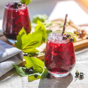 'Ben Hope' Blackcurrant Bush Soft Fruit
