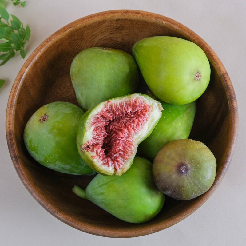 'Brunswick' Fig Tree Mediterranean Fruit Trees