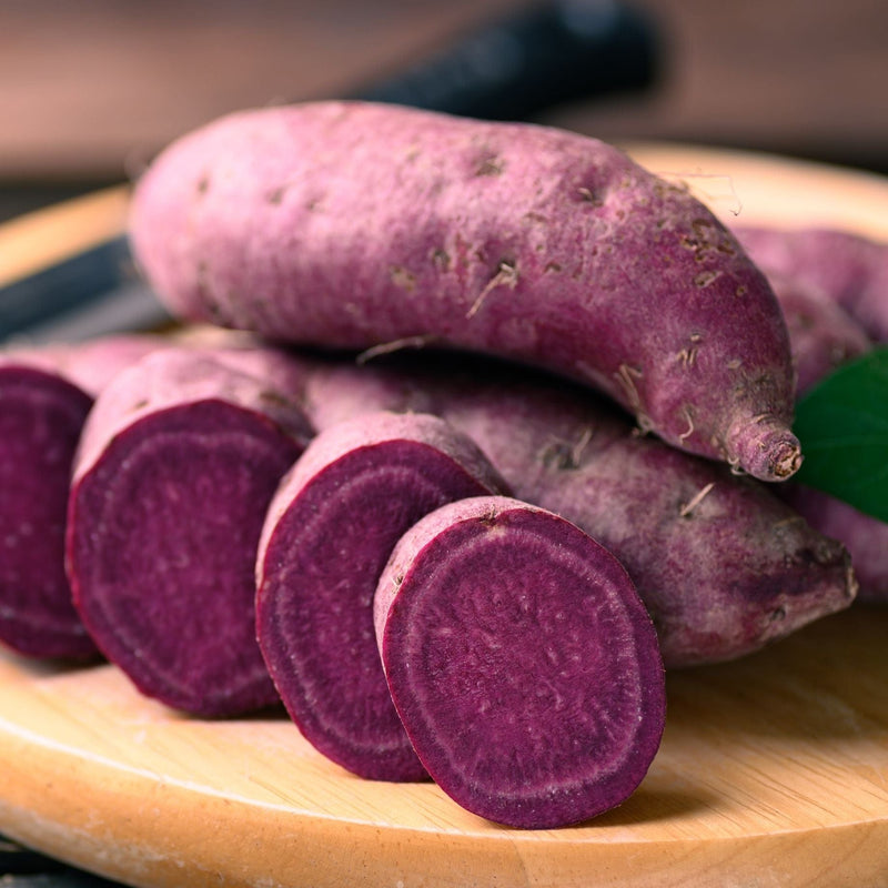 'Erato Violet' Sweet Potato Plant Vegetables