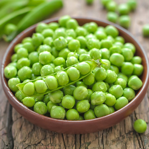 'Waverex' Petit Pois Pea Plant Vegetables