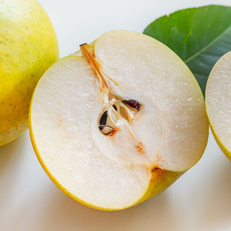 '20th Century' Japanese Pear Tree | Nashi Pear Fruit Trees