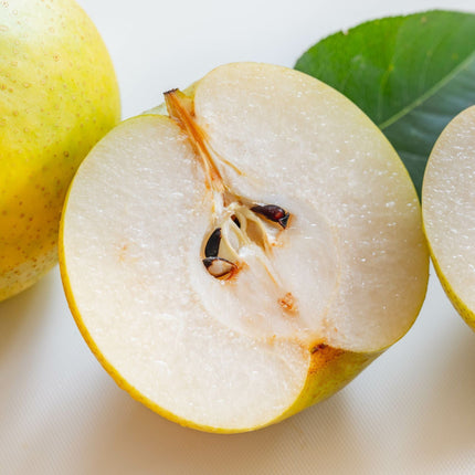 '20th Century' Japanese Pear Tree | Nashi Pear Fruit Trees