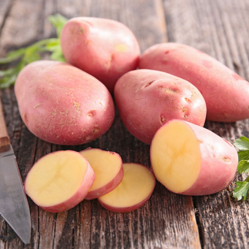 'Caledonian Rose' Maincrop Seed Potatoes Vegetables