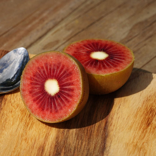 'Ken's Red' Hardy Kiwi Plant Soft Fruit
