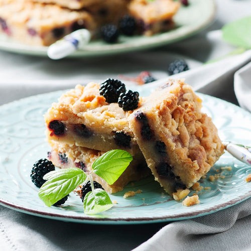 Patio Blackberry Plant | Rubus fruticosus 'Tiny Black' Soft Fruit