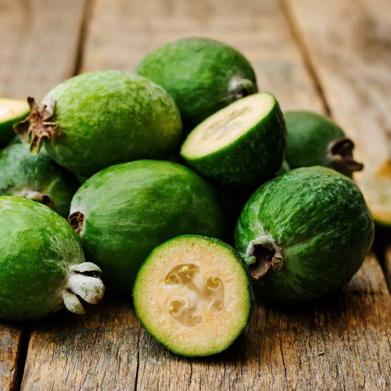 Pineapple Guava Plant | Feijoa Sellowiana Soft Fruit