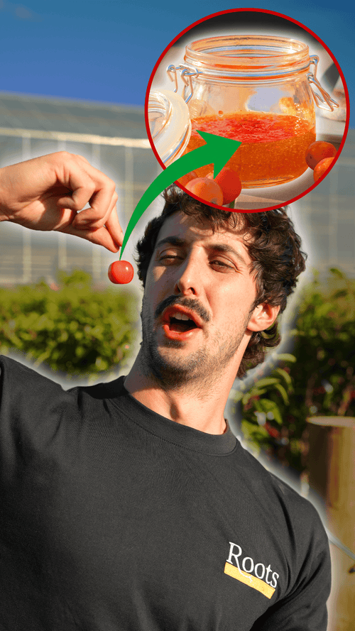 Can you eat crabapples?