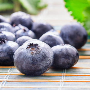 'Chandler' Blueberry Bush Soft Fruit