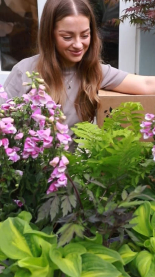 Chloe Plumstead unboxes our plants for shade