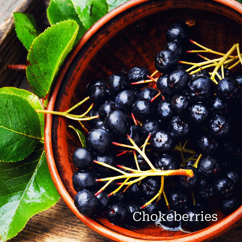 Unusual Berry Collection Soft Fruit