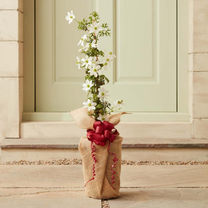 The Clematis Gift Gift Option