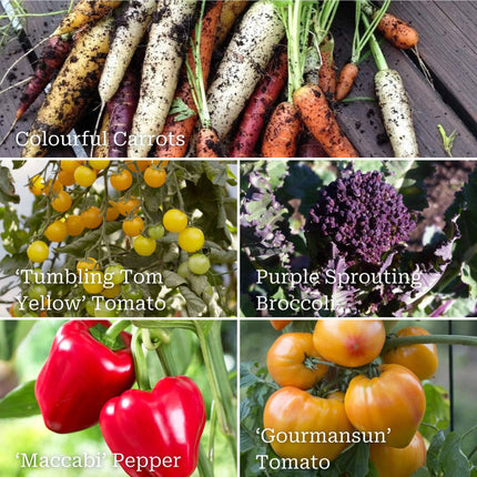 Colourful Vegetable Plants Vegetables