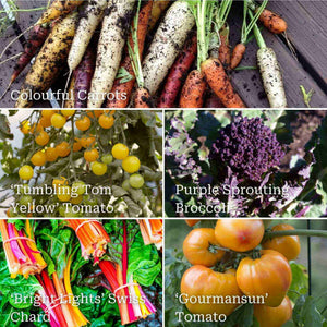 Colourful Vegetable Plants Vegetables