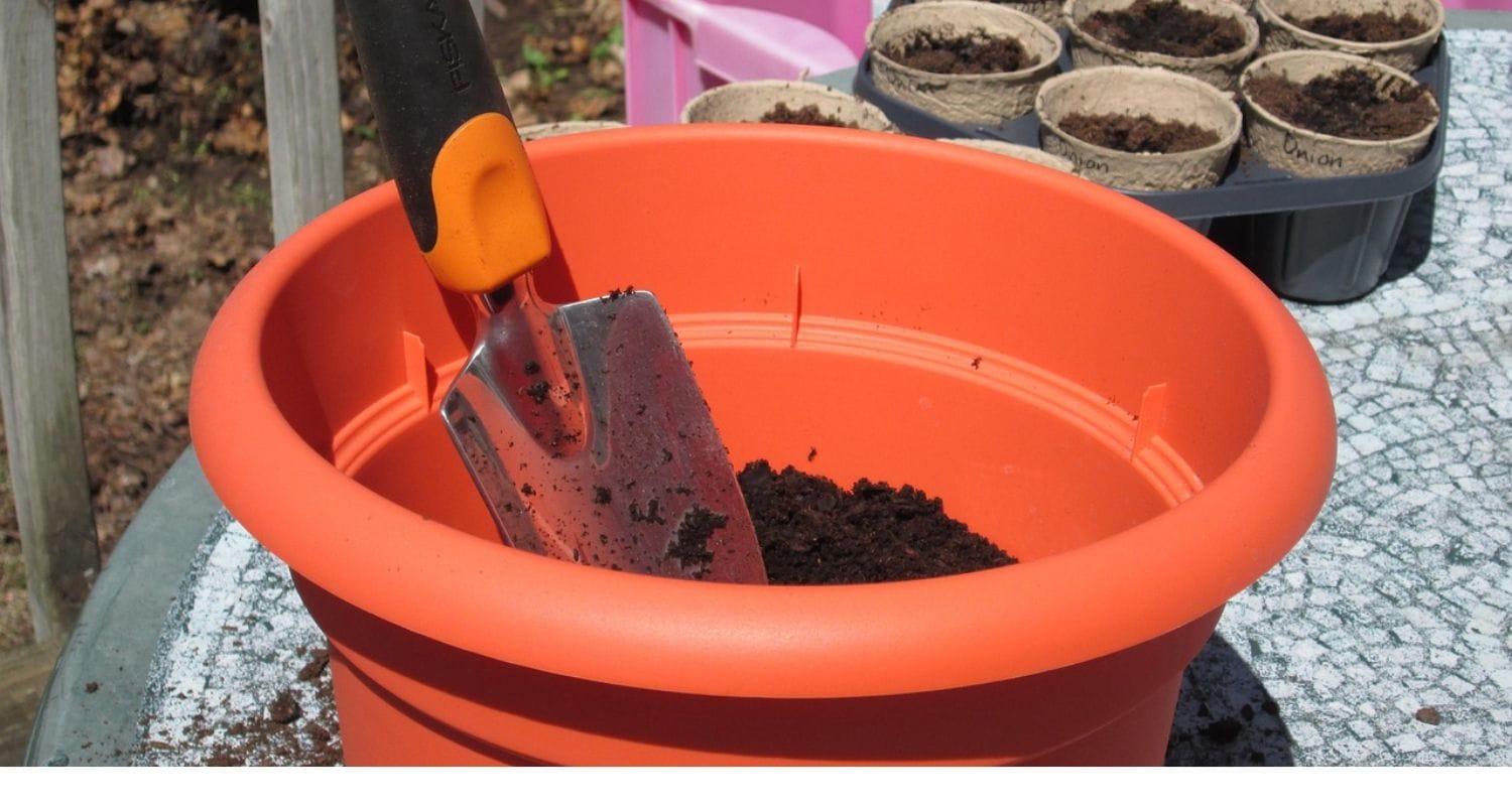 Container Gardening: A Beginner’s Guide