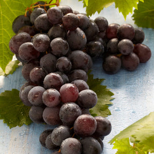 Grape Vines for Cold Areas Collection Soft Fruit