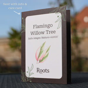 Flamingo Willow Tree Gift Gift Option