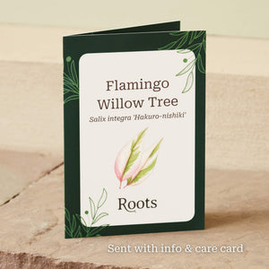 The Flamingo Willow Tree Gift Gift Option