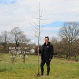 Ginkgo Biloba | Maidenhair Tree Ornamental Trees