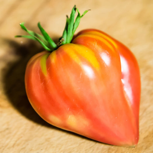 'Gourmansun' Tomato Plant Vegetables