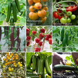 Greenhouse Grower’s Vegetable Collection Vegetables