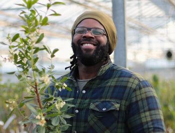Mike Tree Family & Duo Fruit Trees: UK Grown – Roots Plants