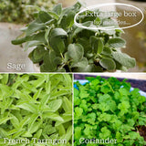 Herb Garden in a Box Vegetables