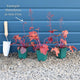 Heuchera 'Marmalade' Perennial Bedding