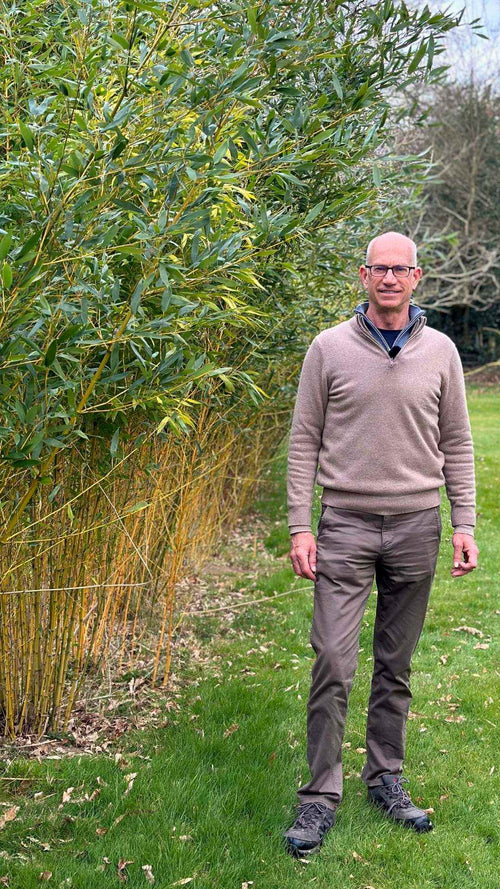Ian shows off his spectacular bamboo hedge