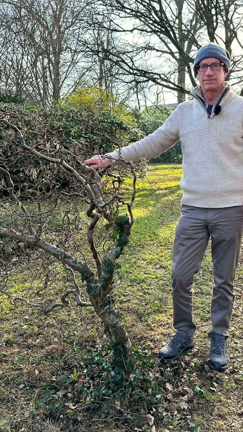 Is the world's most twisted plant?
