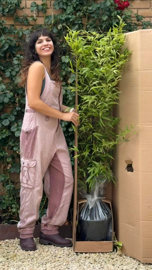 Mariné unboxes a black bamboo