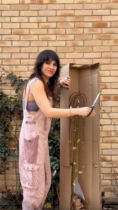 Mariné unboxes a 'Kilmarnock' willow