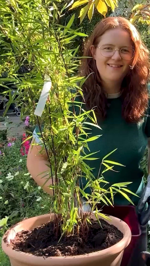 Martha unboxes a black bamboo