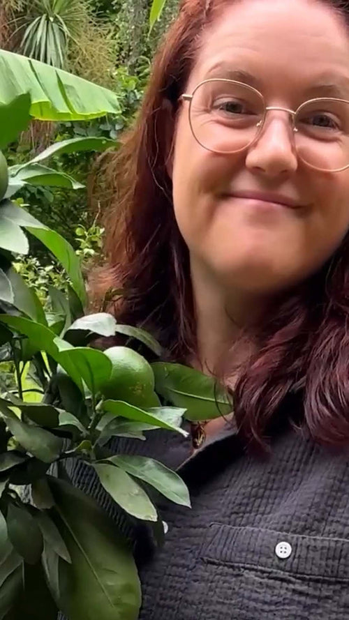 Martha unboxes an orange tree