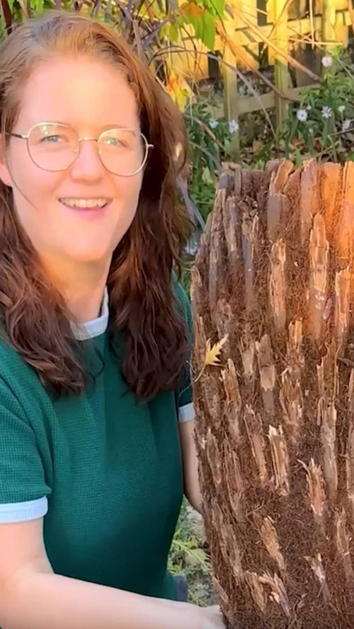 Martha plants a tree fern