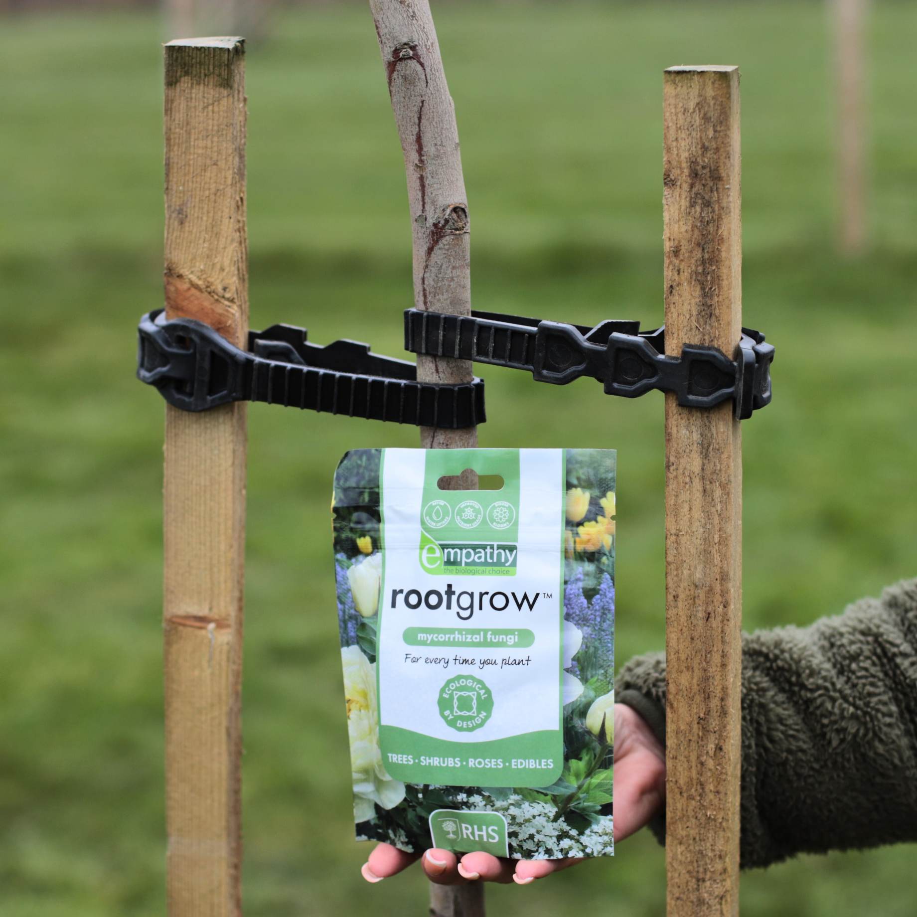 Mature Tree Planting Kit | Tall Stakes, Supersoft Ties & Rootgrow ...