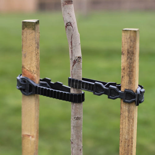 180cm Tall Tree Stake & Supersoft Tie Add ons