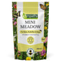 Wildflower Meadow Seed with Empathy Rootgrow™ Perennial Bedding