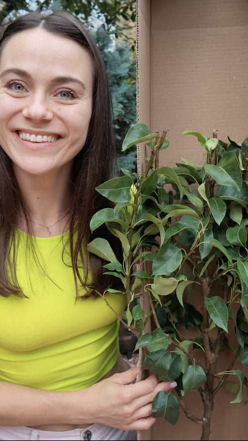 Angelika unboxes a patio pear tree