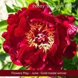 The Peony Gift Gift Option