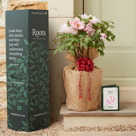 The Peony Gift Gift Option